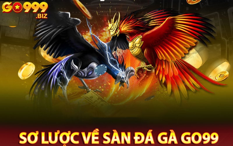 Sơ lược về sàn đá gà go99