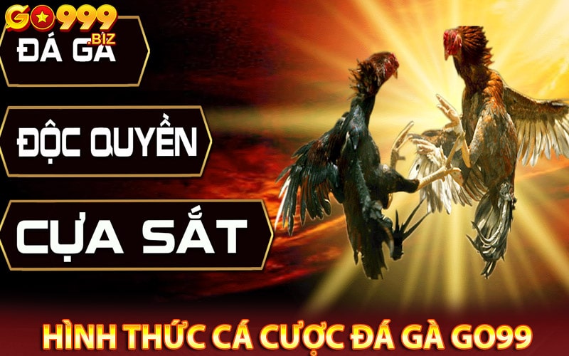 Một số hình thức cá cược đá gà go99 phổ biến