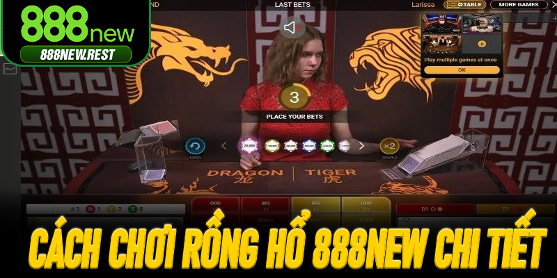 Cách chơi Rồng Hổ 888New chi tiết cho người mới